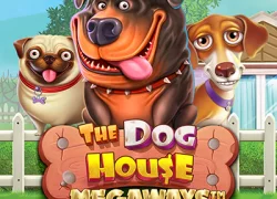 The Dog House Megaways